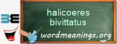 WordMeaning blackboard for halicoeres bivittatus